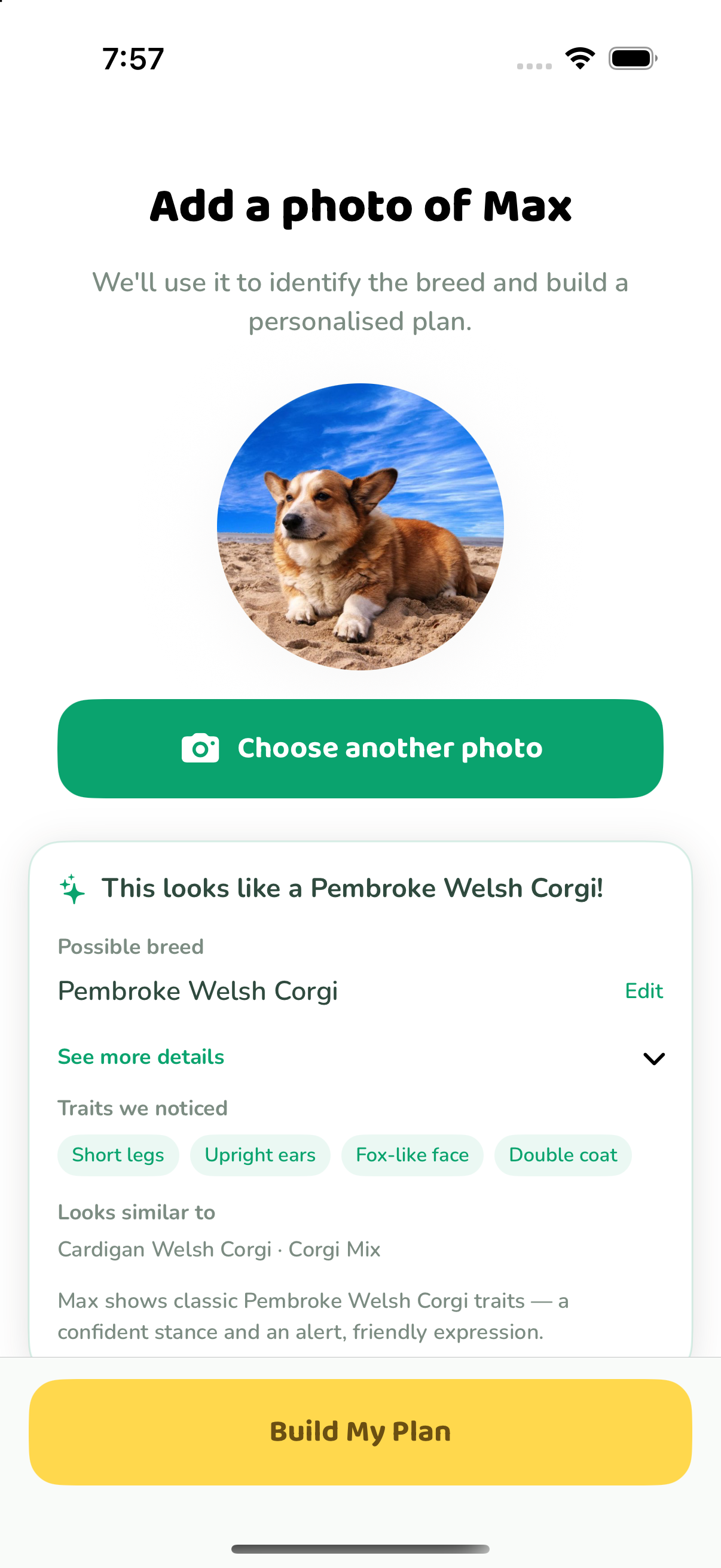 AI breed identification from a photo