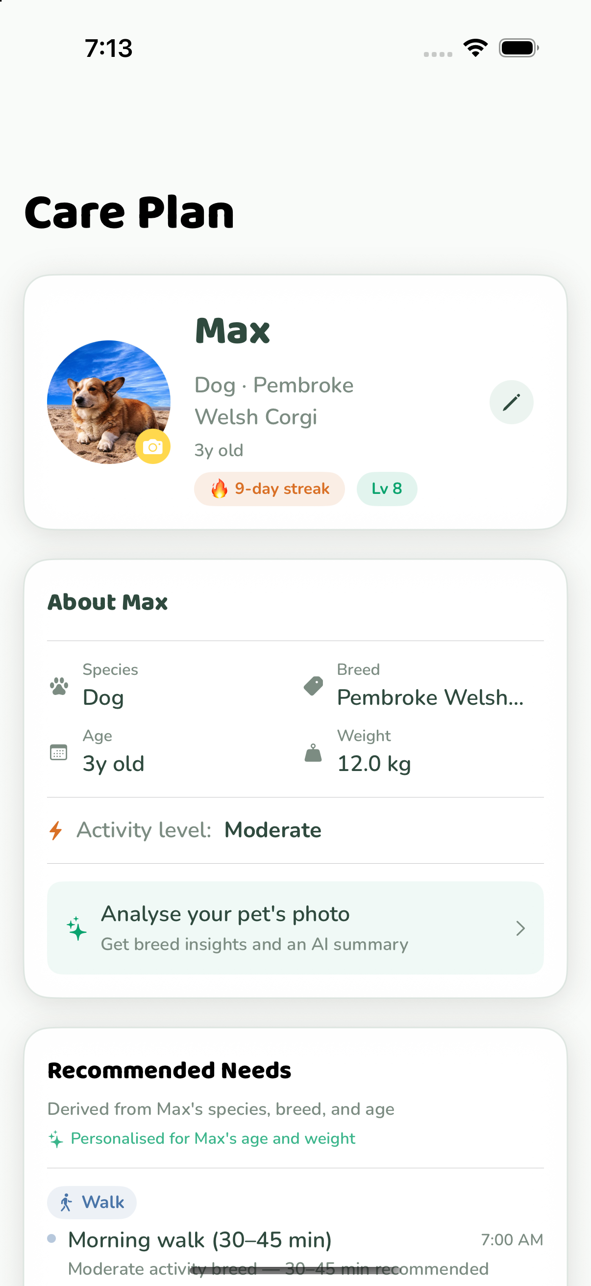 PetPact personalized care plan