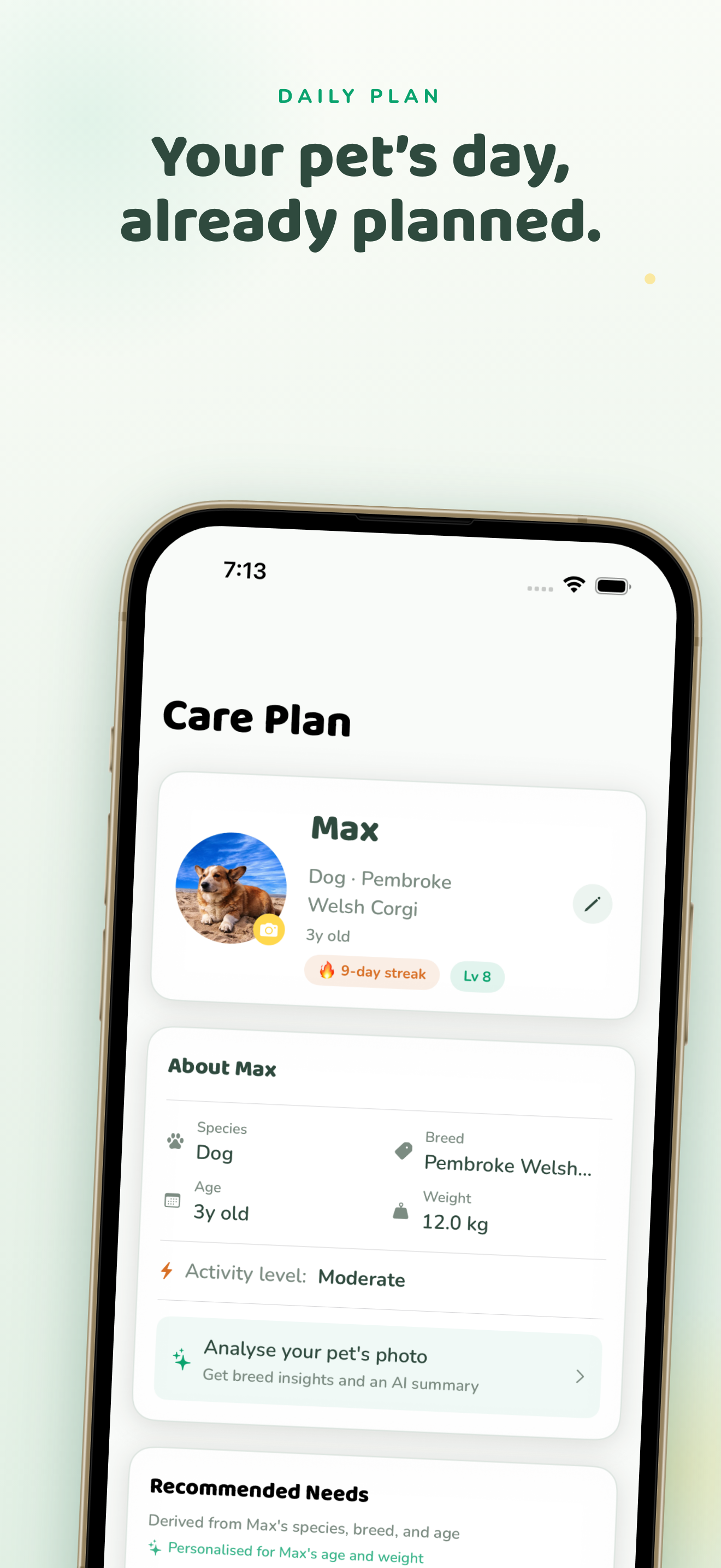 PetPact — A plan shaped to your pet