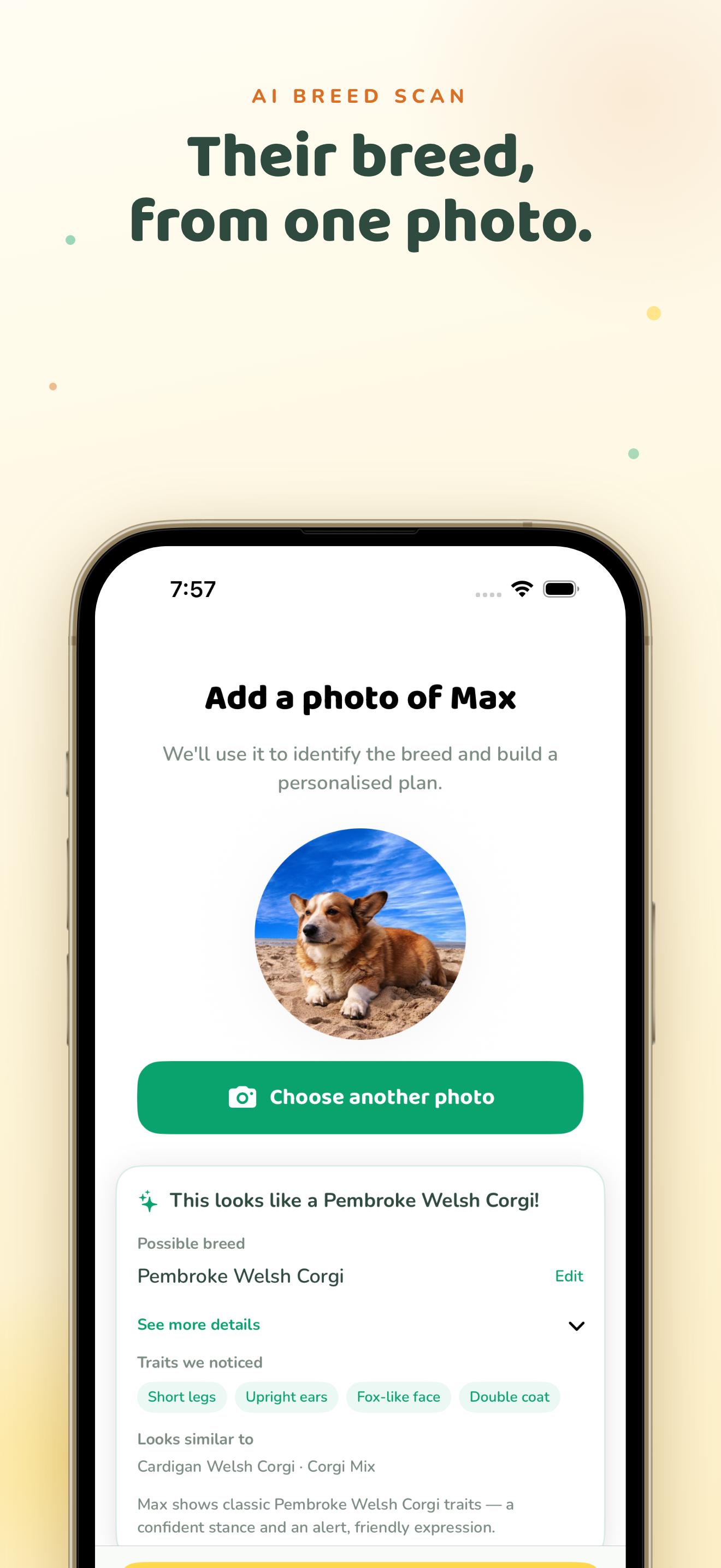 PetPact — AI breed scan