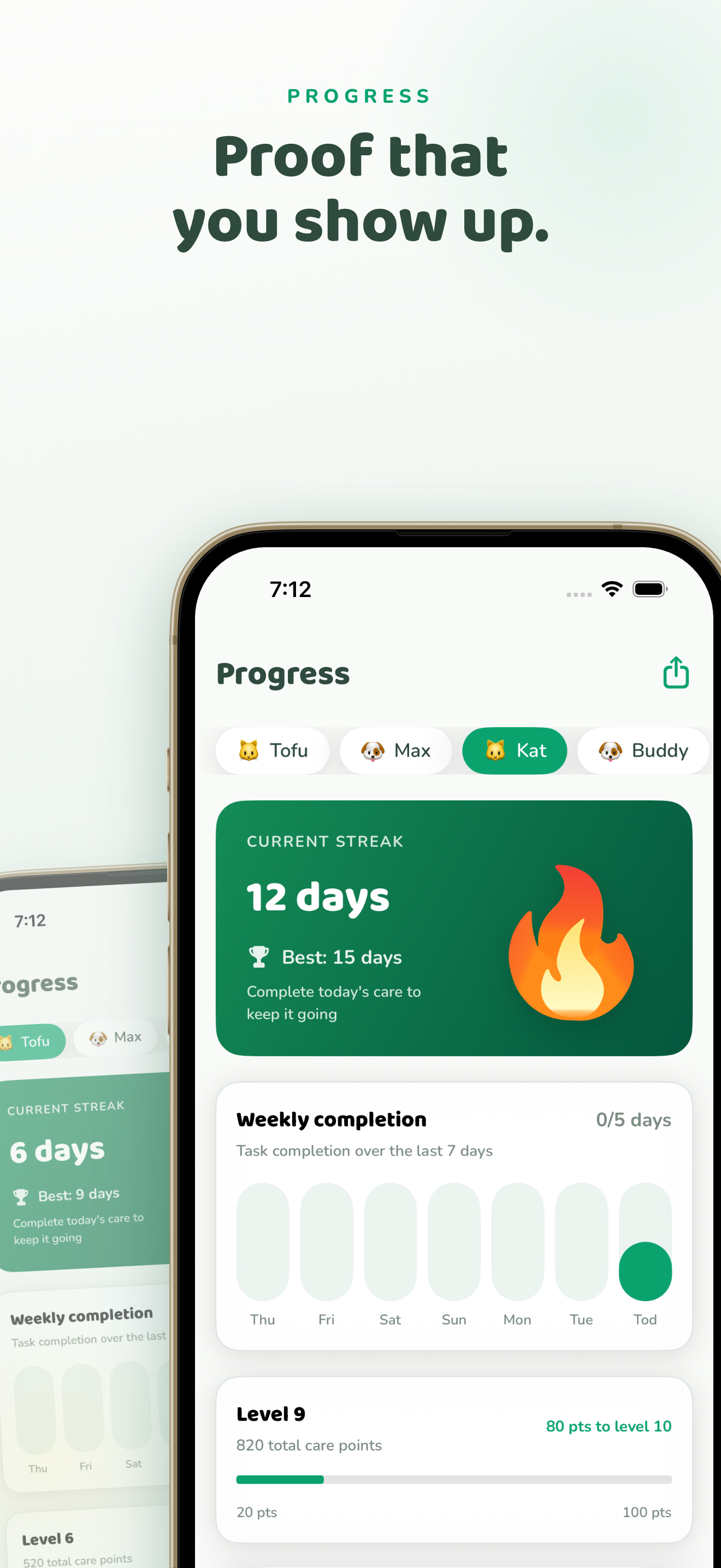 PetPact — Streaks and progress