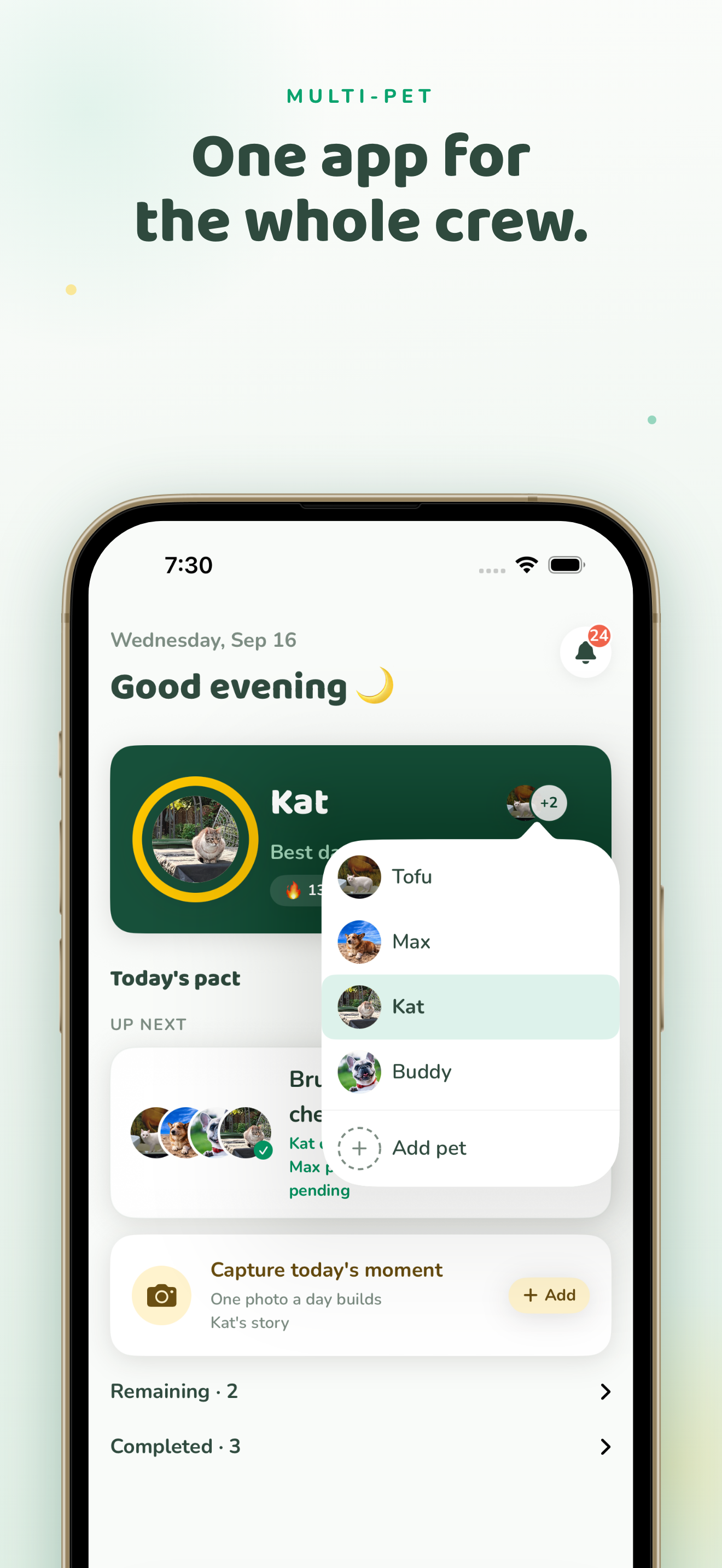 PetPact — Multi-pet support